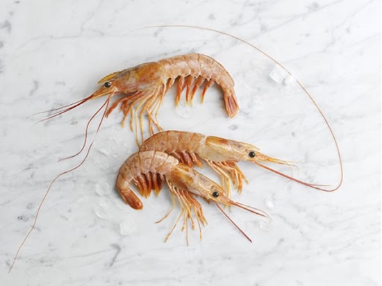 Picture of MORUBEL PRAWNS 400GR